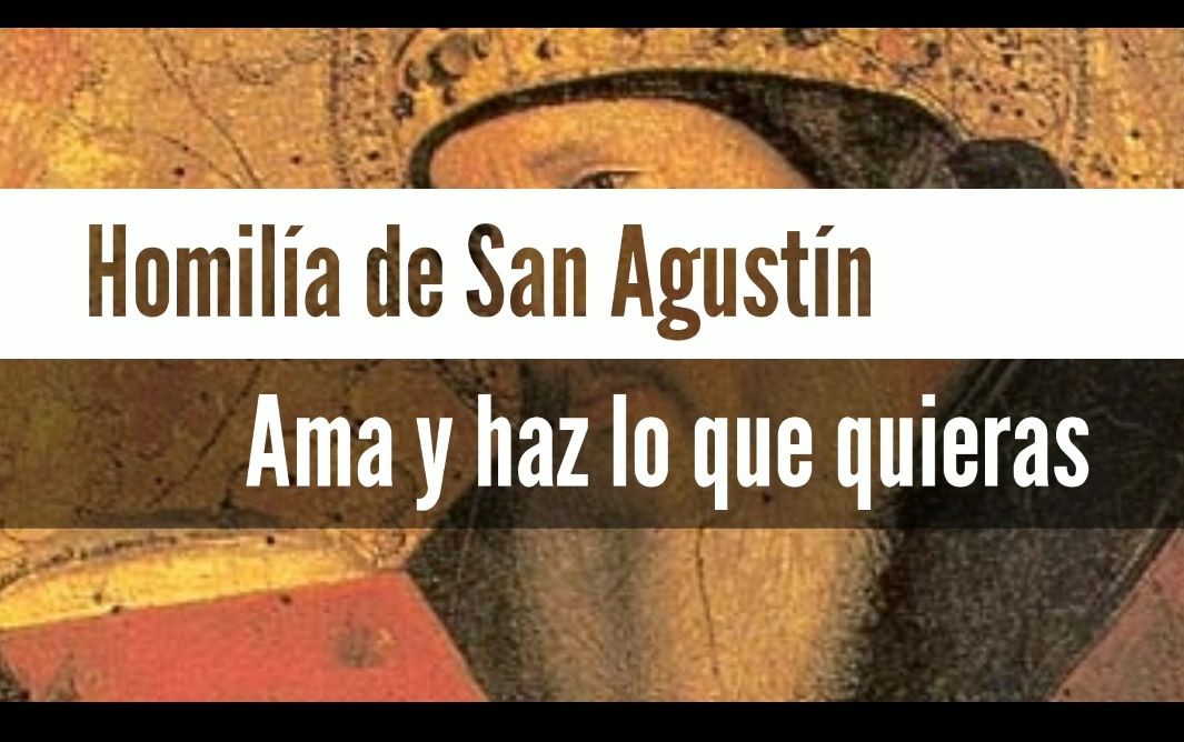Bono: Homilía de San Agustín: Ama y haz lo que quieras / Conoce Ama Y